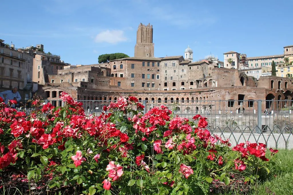 All Suite Colosseo روما شقة